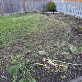 Leaf Removal by God's Gift Lawn maintenance reviewed on July 21, 2022