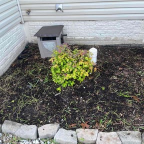 Flower Bed Weeding by Katos lawn service reviewed on July 31, 2022