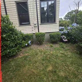 Bush Trimming by Supaman lawncare reviewed on March 29, 2022