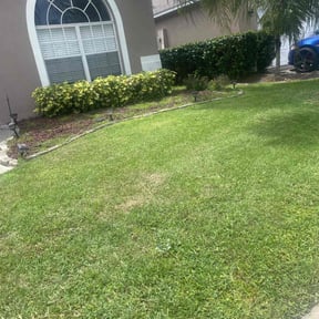 Bush Trimming by ZKZ Landscape &amp; Design reviewed on November 12, 2024