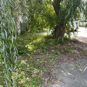 Cleanups by Edge Lawn Service reviewed on August 7, 2025