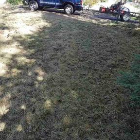 Cleanups by LSLTDallas/FortWorthTruGreen reviewed on April 11, 2025