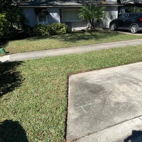 Leaf Removal by Essential Landscaping reviewed on June 12, 2022