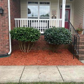 Cleanups by Verde Garden LLC. reviewed on July 17, 2024