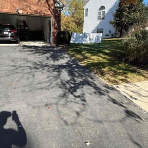 Leaf Removal by Watson Yard Works reviewed on June 22, 2022