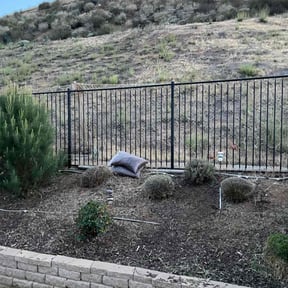 Bush Trimming by Hernandez Landscaping reviewed on January 28, 2025