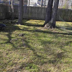 Leaf Removal by Chucks Cutz LLC reviewed on May 24, 2022