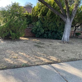 Cleanups by Rodriguez Gardening reviewed on April 3, 2025
