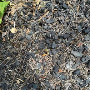 Weeding by Sergio Beltran reviewed on May 13, 2022