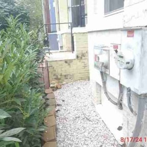 Flower Bed Weeding by Angel Nieves reviewed on April 14, 2022