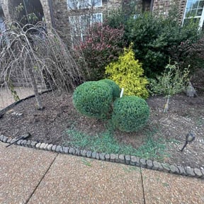 Bush Trimming by Integrity Lawns LLC reviewed on July 8, 2025