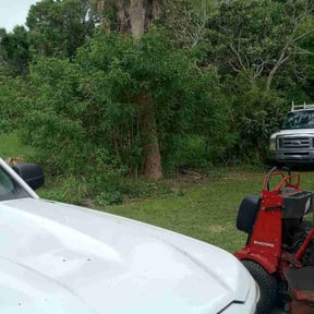 Bush Trimming by Cobbs Construction, LLC reviewed on June 30, 2020