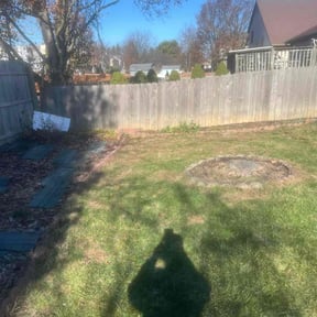 Leaf Removal by Big Boii Landscaping & Mote.... reviewed on May 25, 2022