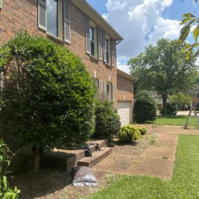Cleanups by JT's lawn Care reviewed on August 5, 2020