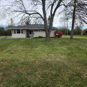 Leaf Removal by Finns landscaping reviewed on November 18, 2024