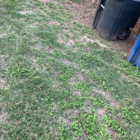 Cleanups by Tilted services reviewed on August 13, 2020