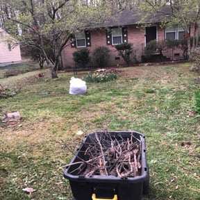 Leaf Removal by C n C Services reviewed on May 11, 2022