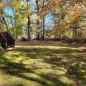 Leaf Removal by GC Lawn Care & Landscaping Services reviewed on March 26, 2024
