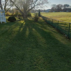 Leaf Removal by Rody & Mel's Landscaping reviewed on September 13, 2021