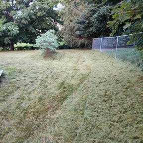 Cleanups by Yard Bandit Lawn Services reviewed on April 4, 2022