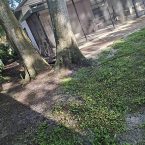 Leaf Removal by Street Cutterz reviewed on May 29, 2022