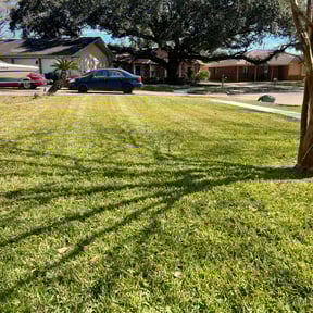 Cleanups by Glm landscaping reviewed on April 22, 2022