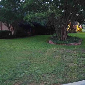 Flower Bed Weeding by LSLTDallas/FortWorthTruGreen reviewed on April 22, 2025