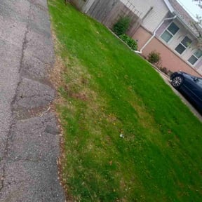 Leaf Removal by Paul Norman Services reviewed on October 6, 2020