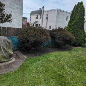 Flower Bed Weeding by Platinum Landscape reviewed on June 4, 2022