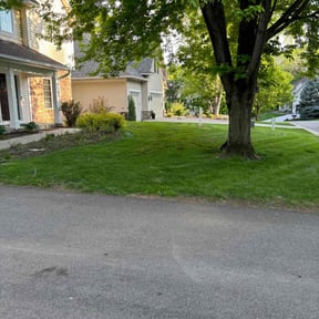 Leaf Removal by Gregg's Lawn Care reviewed on November 9, 2024