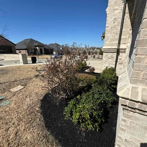Flower Bed Weeding by Gary Evans Lawn and Tree Service reviewed on August 9, 2021