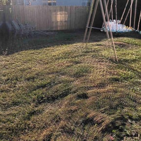 Flower Bed Weeding by Green Ranch Lawncare and Pressure Washing reviewed on June 6, 2022