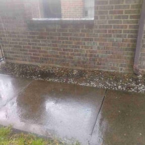 Cleanups by 4A lawn care service reviewed on July 20, 2022