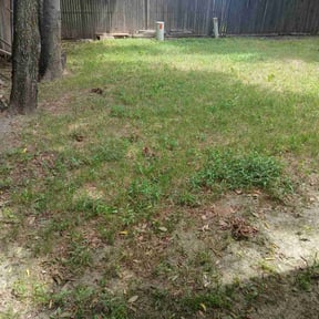 Leaf Removal by Lawn Mow Bros reviewed on August 8, 2024