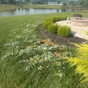 Flower Bed Weeding by SGE Lawn Care reviewed on July 25, 2025