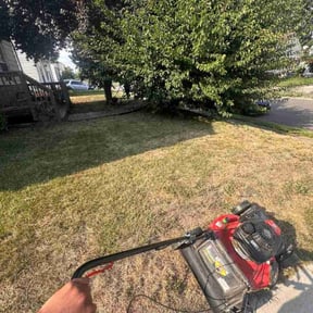 Lawn Treatment by Chai reviewed on August 6, 2025