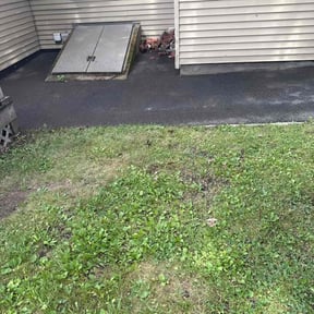 Leaf Removal by National preservation and REO services reviewed on November 11, 2021