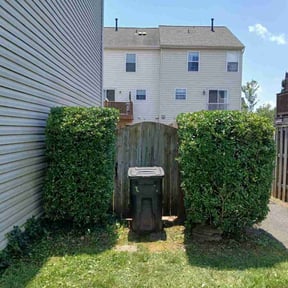 Bush Trimming by Diego Mojica Lawn Care reviewed on August 8, 2022