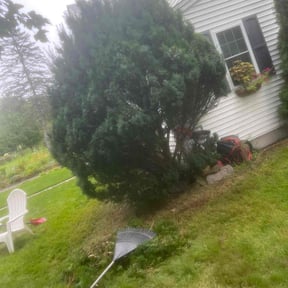 Bush Trimming by Oceania Solutions LLC reviewed on April 12, 2022