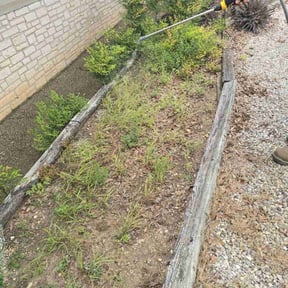 Weeding by BSM & Co. Landscaping reviewed on August 24, 2020