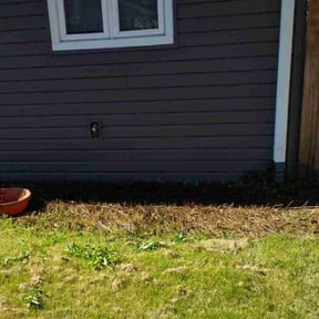 Flower Bed Weeding by GREASY MONKEY reviewed on May 12, 2022