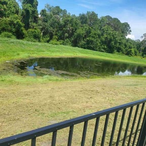 Bush Trimming by AquaClean reviewed on May 26, 2022