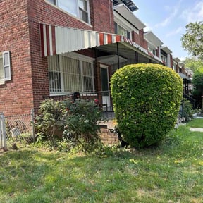 Bush Trimming by lawn services reviewed on February 12, 2024