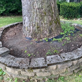 Leaf Removal by Greenblade Mowing reviewed on November 24, 2024