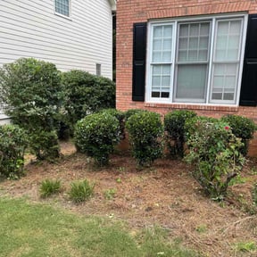 Bush Trimming by KC Lawn&Home reviewed on June 5, 2022