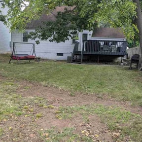 Leaf Removal by HTx Landscaping Services reviewed on May 11, 2022