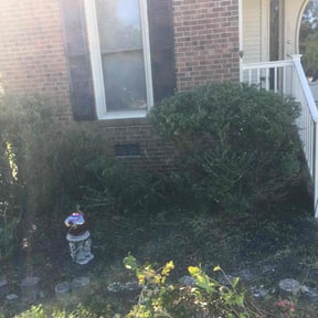 Bush Trimming by BENNETT LINKS SOLUTIONS reviewed on August 3, 2022