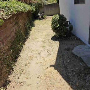 Cleanups by Unmanageable weeds reviewed on December 24, 2024