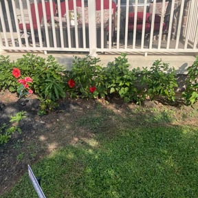 Flower Bed Weeding by Paul Landis Dba Pro Turf Landscape and Lawn care reviewed on August 22, 2024