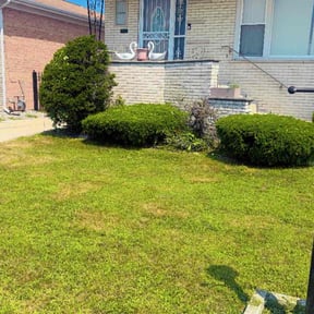 Weeding by SPX Lawncare reviewed on August 5, 2025